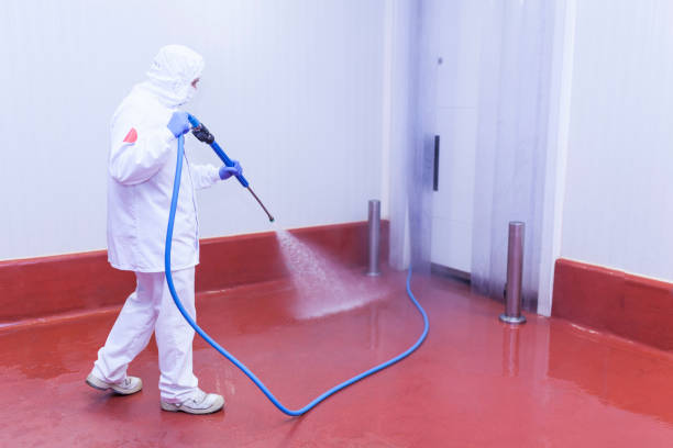 Best Concrete Surface Cleaning in Seeley, CA